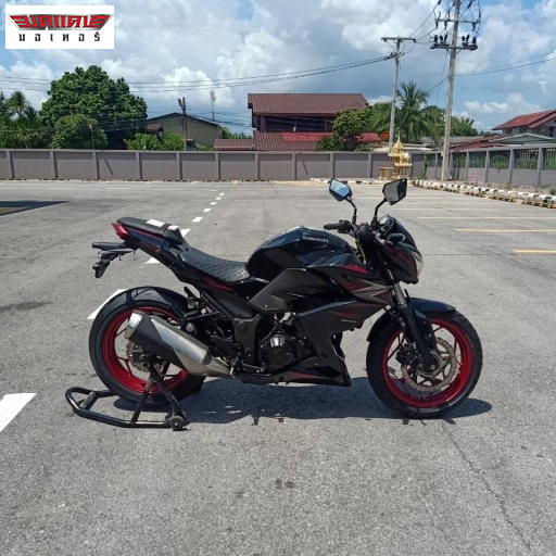 Z300